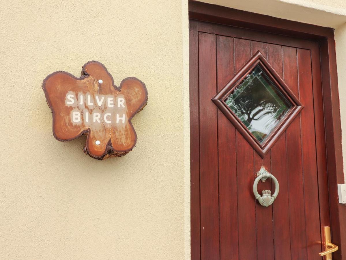 Cuar an Chláir Silver Birch מראה חיצוני תמונה